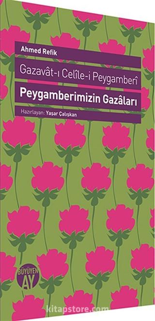 Peygamberimizin Gazaları