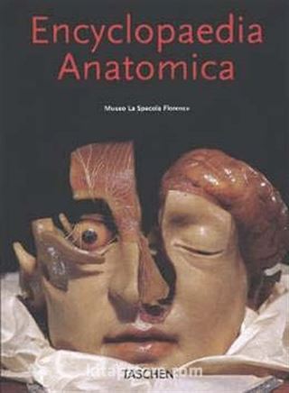 Encyclopaedia Anatomica