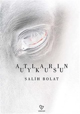 Atların Uykusu