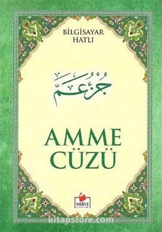 Amme Cüzü Bilgisayar Hatlı