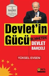 Devletin Gücü