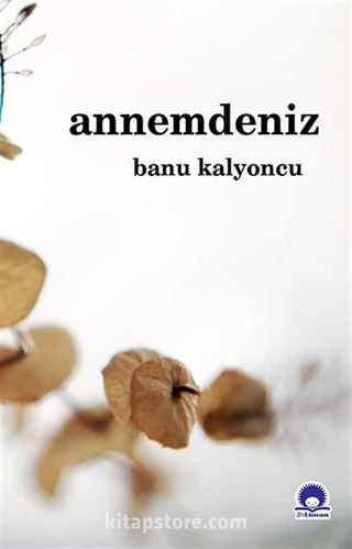 Annemdeniz