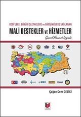 Kobi'lere Büyük İşletmelere ve Girişimcilere Sağlanan Mali Destekler ve Hizmetler / Güncel Mevzuat Işığında