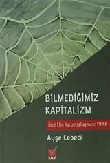 Bilmediğimiz Kapitalizm