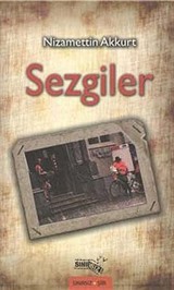 Sezgiler