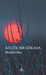 Küçük Bir Gökada