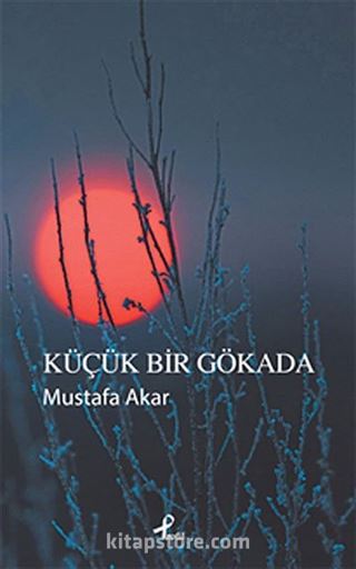 Küçük Bir Gökada