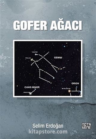 Gofer Ağacı