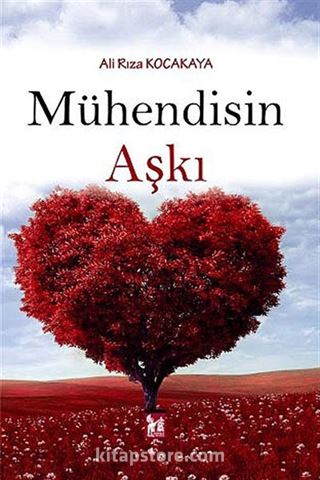 Mühendisin Aşkı