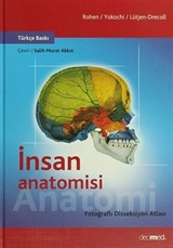 İnsan Anatomisi