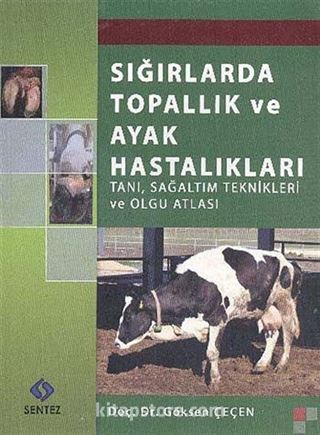 Sığırlarda Topallık ve Ayak Hastalıkları