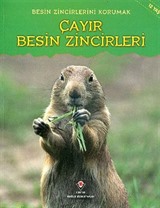 Çayır Besin Zincirleri / Besin Zincirlerini Korumak