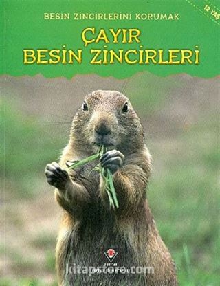 Çayır Besin Zincirleri / Besin Zincirlerini Korumak