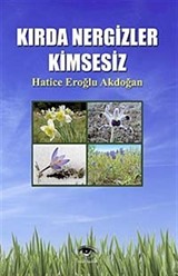 Kırda Nergizler Kimsesiz