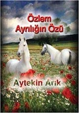 Özlem Ayrılığın Özü