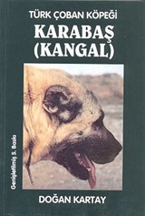 Türk Çoban Köpeği Karabaş (Kangal)