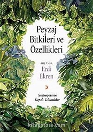 Peyzaj Bitkileri ve Özellikleri