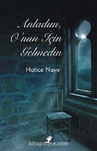 Anladım, O'nun İçin Gelmedin