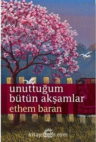 Unuttuğum Bütün Akşamlar