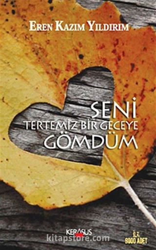 Seni Tertemiz Bir Geceye Gömdüm