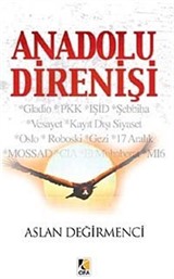 Anadolu Direnişi