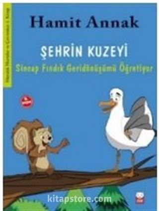 Şehrin Kuzeyi / Meraklı Martılar ve Çevremiz: 1. Kitap