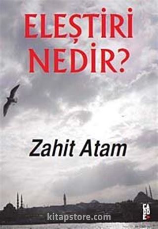 Eleştiri Nedir?