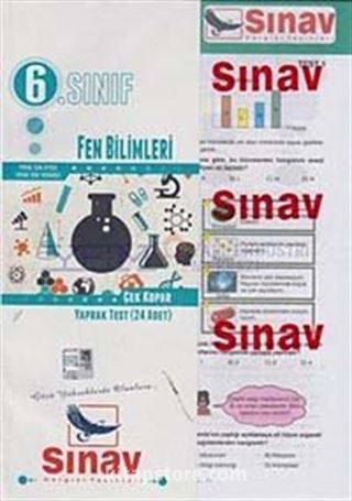 6. Sınıf Fen Bilimleri Çek Kopar Yaprak Test (24 Adet)