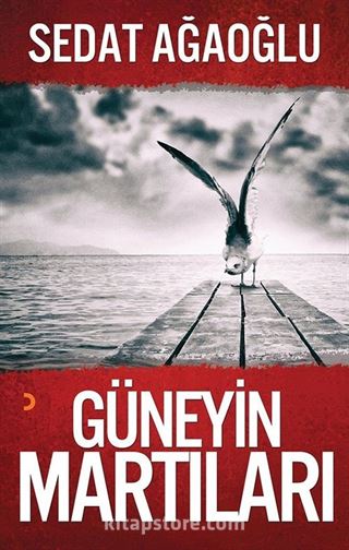 Güneyin Martıları