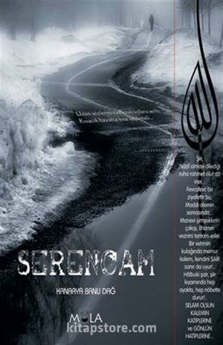 Serencam