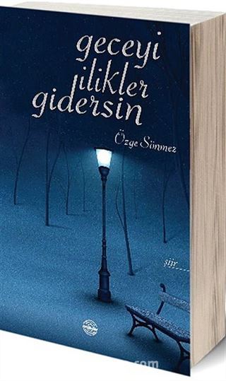 Geceyi İlikler Gidersin