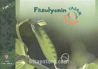 Fasulyenin Yaşam Döngüsü