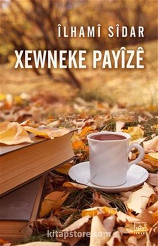 Xewneke Payize