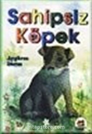 Sahipsiz Köpek