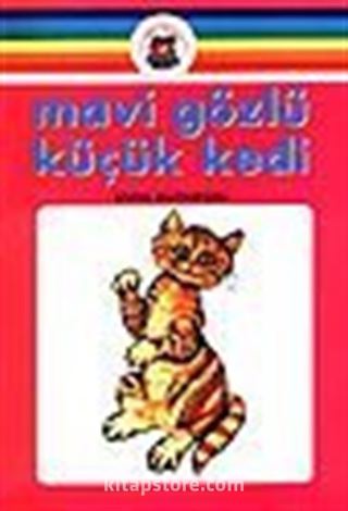 Mavi Gözlü Küçük Kedi