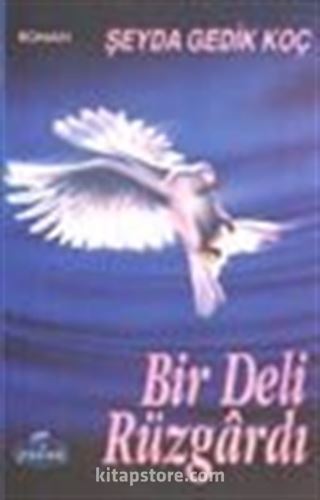 Bir Deli Rüzgardı