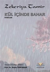 Kül İçinde Bahar