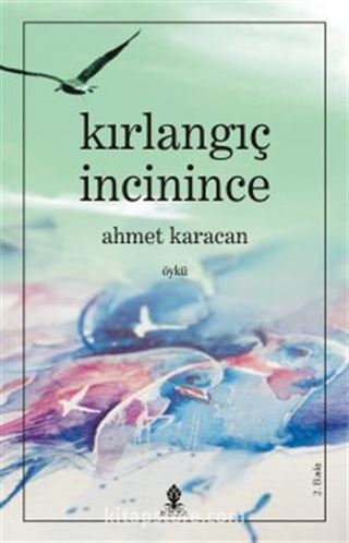 Kırlangıç İncinince