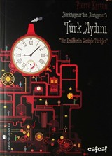 Türk Aydını