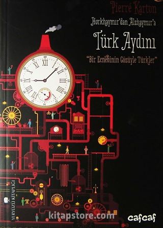 Türk Aydını