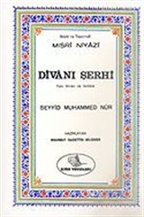 Niyazi Mısri Şerhi