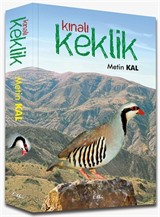 Kınalı Keklik