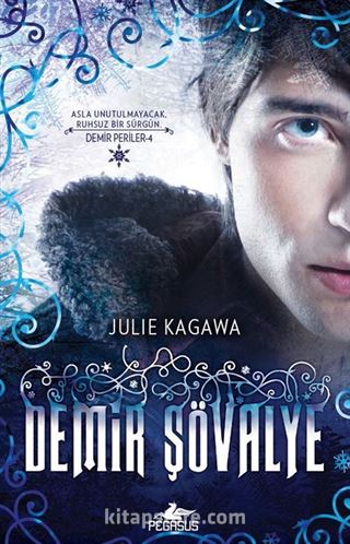 Demir Şövalye / Demir Periler Serisi 4. Kitap