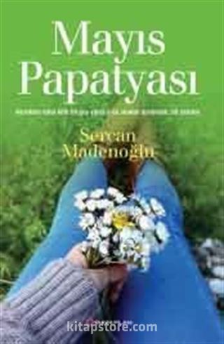 Mayıs Papatyası