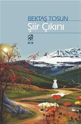 Şiir Çıkını