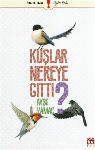 Kuşlar Nereye Gitti