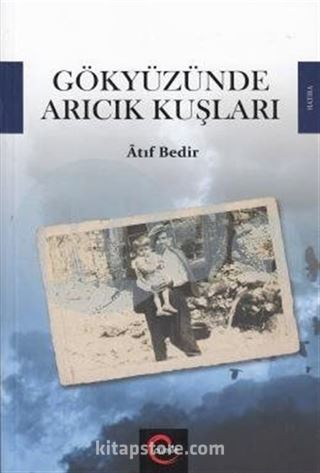 Gökyüzünde Arıcık Kuşları