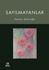 Sayılmayanlar