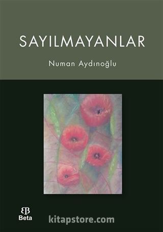 Sayılmayanlar