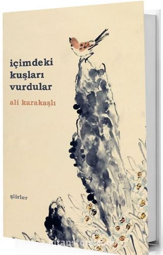 İçimdeki Kuşları Vurdular